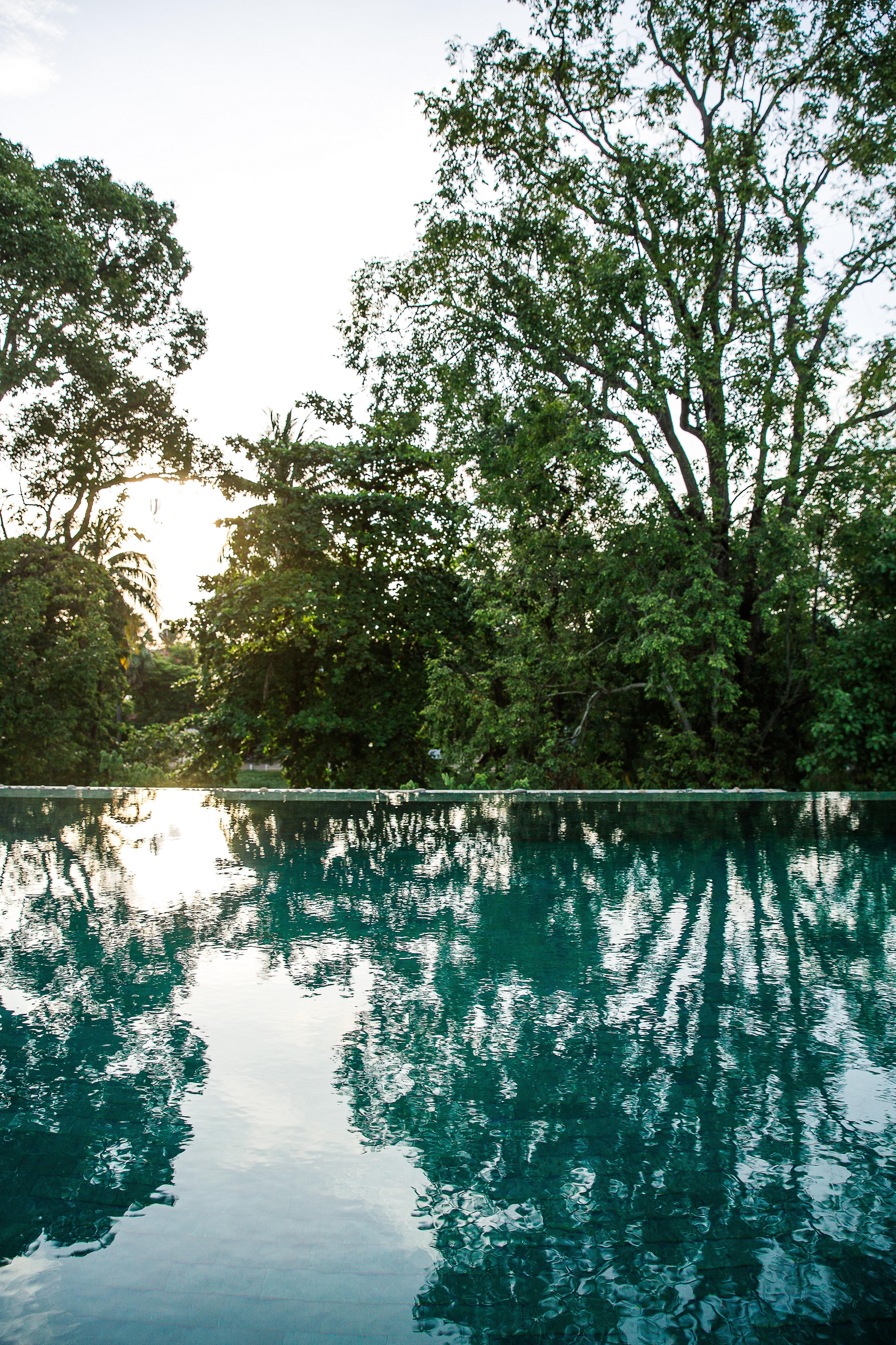 Treeline Urban Resort Siem Reap Exterior foto